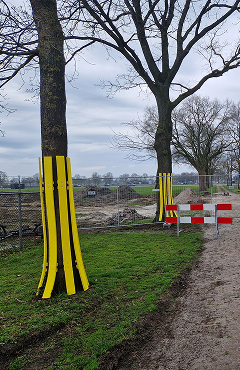 Boombescherming Nederland